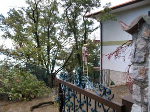 19. November 2014 - Auch im Winter gibt es in der Villa-Inge viel zu tun. Unser Gärtner schneidet die Bäume/Pflanzen fachmännisch zurück!