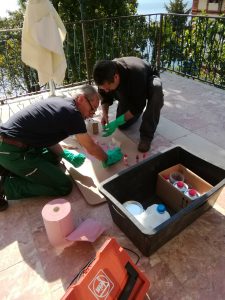 May 15, 2017 - We will renovate the beautiful natural stone terrace of Villa Inge in 2017. In Mošćenička Draga, no one could tell us what kind of stone it is. So we started with a small test area first. First of all, fine cracks are sealed with Akepox (Akemi)!