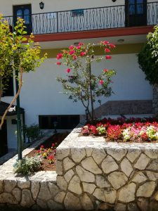 26. Mai 2017 - Mit viel Mühe haben wir die Pflanzen in der Villa Inge angeordnet. Im Mai ist es in Mošćenička Draga besonders schön, da viele Pflanzen anfangen zu blühen!