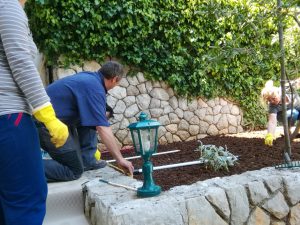 17 May 2017 - "The same procedure as every year!" Every year at Villa Inge, Mošćenička Draga is heavily discussed how to plant. This year Dalibor helped to measure and mark a planting bed!