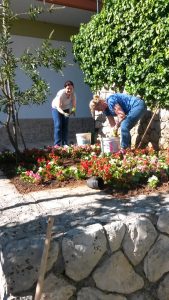 18. Mai 2017 - Nachdem die Beteiligten der Villa Inge in Mošćenička Draga einen Kompromiss gefunden haben, pflanzen die Hausdamen die Blumen sorgfältig ein!