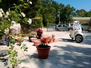 25. Mai 2018 - Hanni und ich bepflanzen die Pflanztröge der Villa Inge. Mittlerweile sind bereits etwas mehr Gäste in Mošćenička Draga!