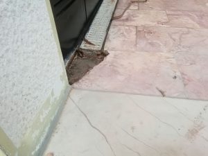 October 09, 2017 - A challenge was large damaged areas in the stone. The laid pavement of Villa Inge can no longer be purchased. Investigations in Mošćenička Draga brought nothing. Many small pieces mixed with akepox eliminated the problem!
