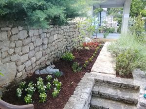 03. Juni 2019 - Etwa 500 einjährige Blumen, vorwiegend Begonien, haben wir die letzten Tage gepflanzt. Die Villa Inge in Mošćenička Draga zeigt sich nun von seiner schönsten Seite!