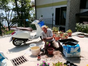 13. ‎Juni ‎2020 - Morgen kommt bereits der erste Gast und jetzt müssen schnell noch die Blumen gepflanzt werden. Das Wetter war im Juni auch noch ungewöhnlich schlecht, sodass diese Arbeiten aufgeschoben wurden. Da lange Zeit offen war, ob die Villa Inge in Mošćenička Draga dieses Jahr öffnen wird, haben wir kaum noch Blumen am Markt zu kaufen bekommen!