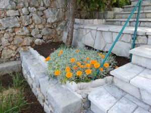 ‎29. ‎Mai ‎2021 - Morgen kommt der erste Gast in die Villa Inge. Selbst unsere Blumen freut das und sie blühen im ganzen Serpentinen-Garten prachtvoll, In ganz Mošćenička Draga sind bisher nur vereinzelt Gäste hier!