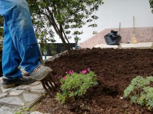 28. April 2023 - First of all, at Villa-Inge in Mošćenička Draga, the planting beds need to be dug up. With combined efforts we created a fertile foundation, for flourishing gardens and unforgettable moments!