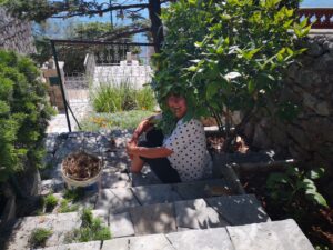 May 28, 2024 - After cleaning with a pressure washer, the planting beds at Villa Inge in Mošćenička Draga need to be cleaned again. Everyone helps out here. It's very hot now. Our Milka takes a break in the shade!