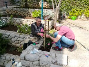 May 06, 2024 - The rose bush at the entrance to Villa Inge in Mošćenička Draga is still causing us problems. We have now bought and planted the 3rd plant. The location actually offers the best conditions!